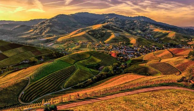 Tiêu đề giải pháp tưới 4