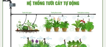 Hệ thống tưới cây tự động