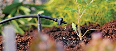 Hệ thống tưới nhỏ giọt