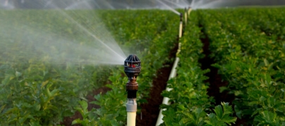 Hệ thống tưới phun mưa