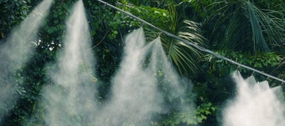 Hệ thống tưới phun sương