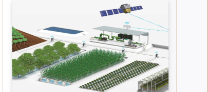 Thi công hệ thống tưới