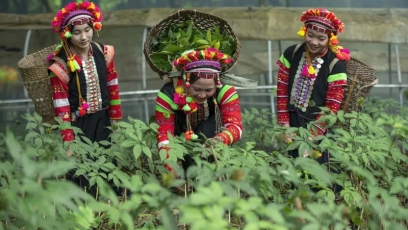 Phát triển nông nghiệp bền vững gắn với chuyển đổi xanh, giảm phát thải