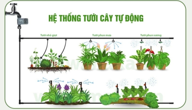 Hệ thống tưới cây tự động