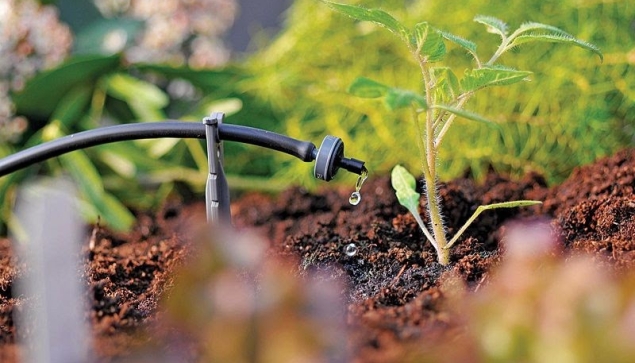 Hệ thống tưới nhỏ giọt