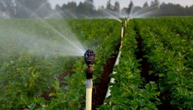 Hệ thống tưới phun mưa