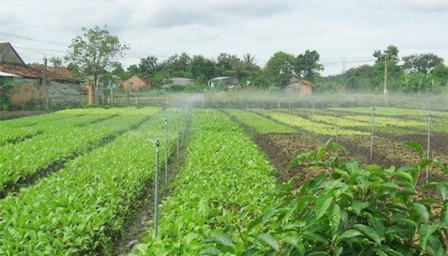 Hệ thống tưới rau tự động