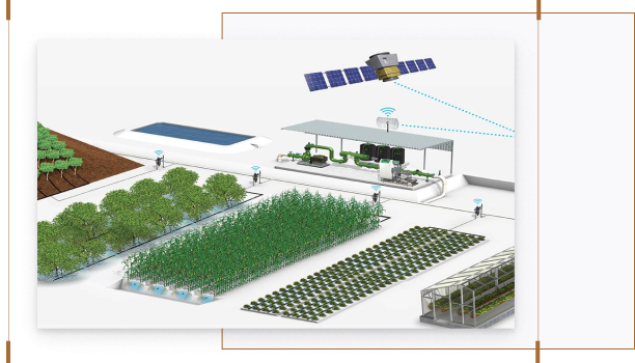 Thi công hệ thống tưới